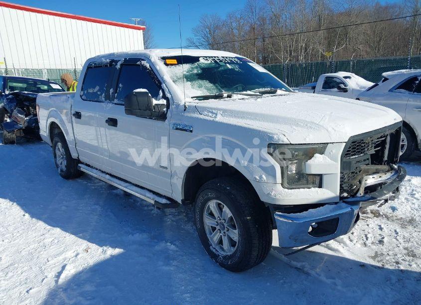 2016 Ford F-150 XL (VIN 1FTEW1CG9GKE76975) main photo