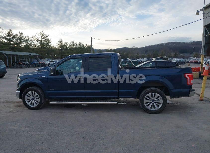 Photo 14 of 2016 Ford F-150 XLT (VIN 1FTEW1CG9GKE97115)