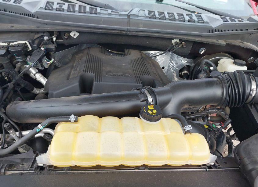 Photo 10 of 2018 Ford F-150 XLT (VIN 1FTEW1CG9JFD41544)