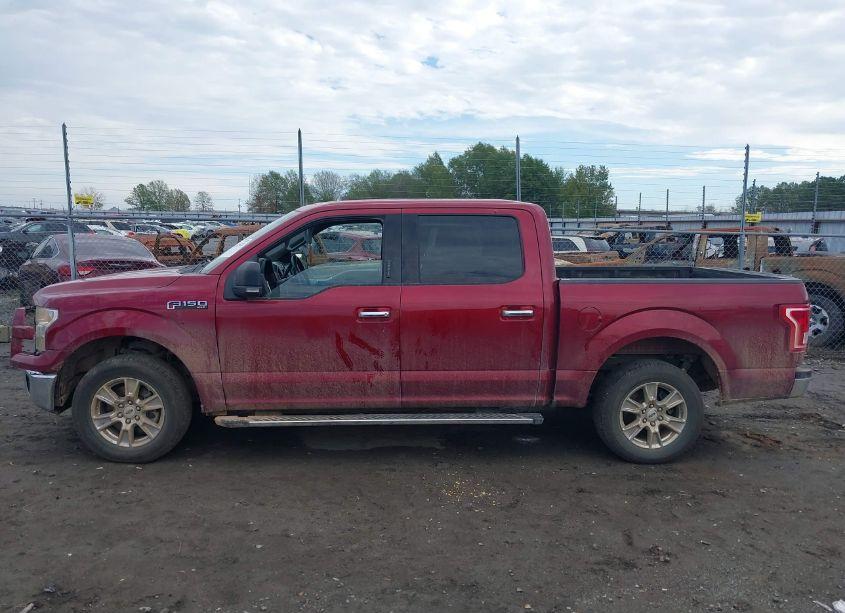 Photo 14 of 2015 Ford F-150 XLT (VIN 1FTEW1CGXFFB38315)