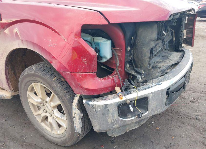 Photo 17 of 2015 Ford F-150 XLT (VIN 1FTEW1CGXFFB38315)