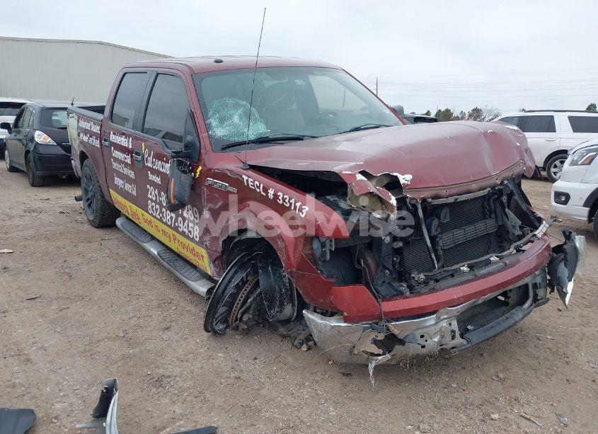 2014 Ford F-150 XLT (VIN 1FTEW1CM0EKD44254) main photo