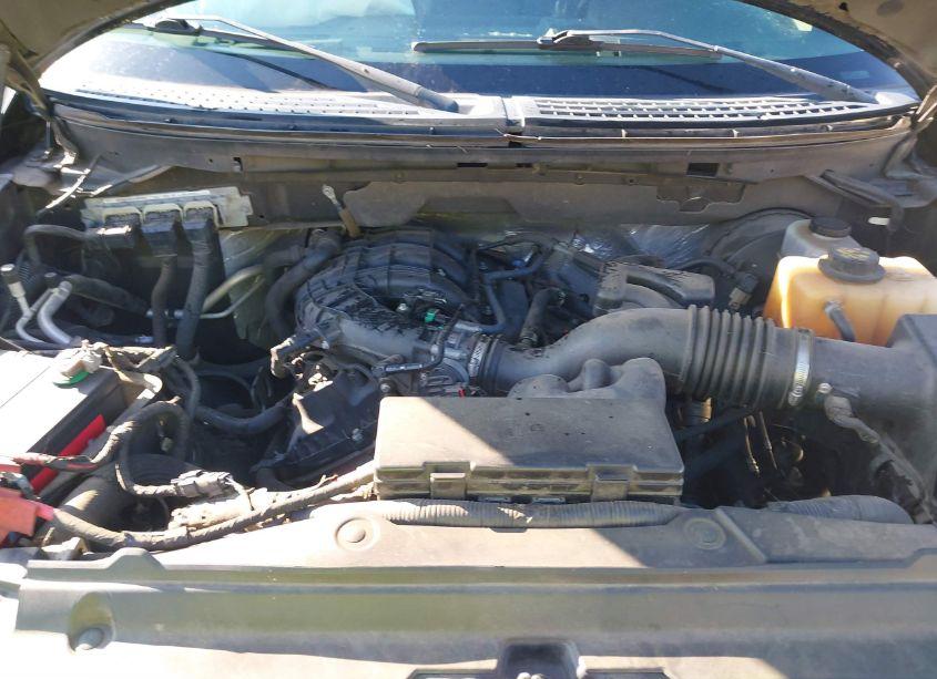 Photo 10 of 2012 Ford F-150 XLT (VIN 1FTEW1CM1CFA72447)