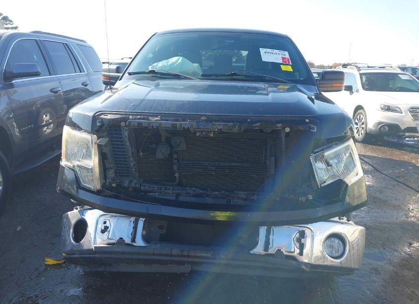 Photo 6 of 2012 Ford F-150 XLT (VIN 1FTEW1CM1CFA72447)