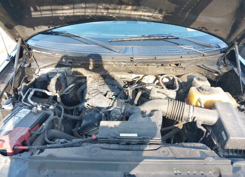 Photo 10 of 2013 Ford F-150 XLT (VIN 1FTEW1CM1DFD15210)