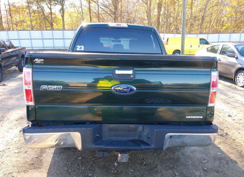 Photo 16 of 2013 Ford F-150 XLT (VIN 1FTEW1CM1DFD15210)