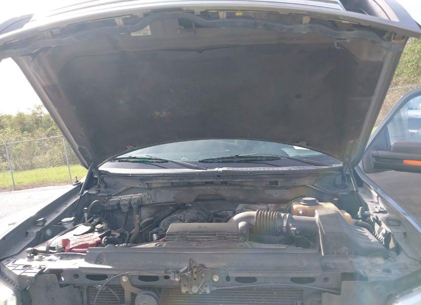 Photo 10 of 2011 Ford F-150 XLT (VIN 1FTEW1CM2BFA71922)