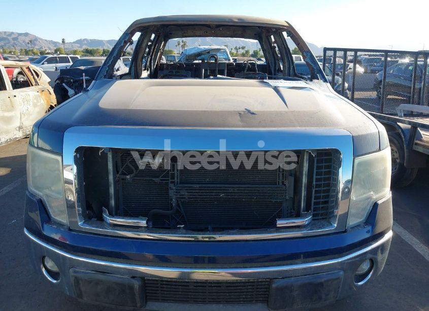 Photo 10 of 2011 Ford F-150 XLT (VIN 1FTEW1CM2BFC93876)