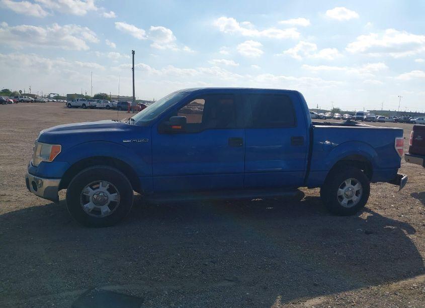 Photo 14 of 2011 Ford F-150 XLT (VIN 1FTEW1CM2BKD06505)