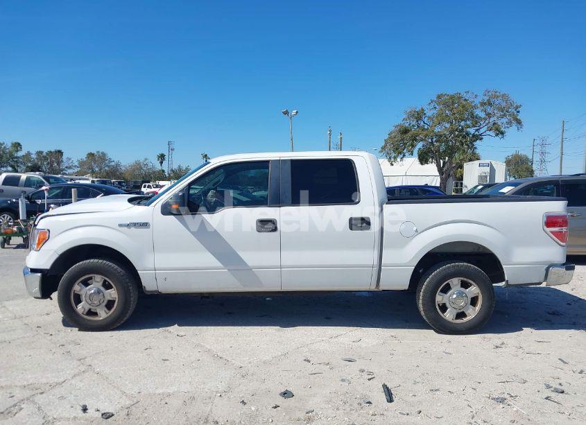 Photo 14 of 2012 Ford F-150 XLT (VIN 1FTEW1CM2CFC06897)