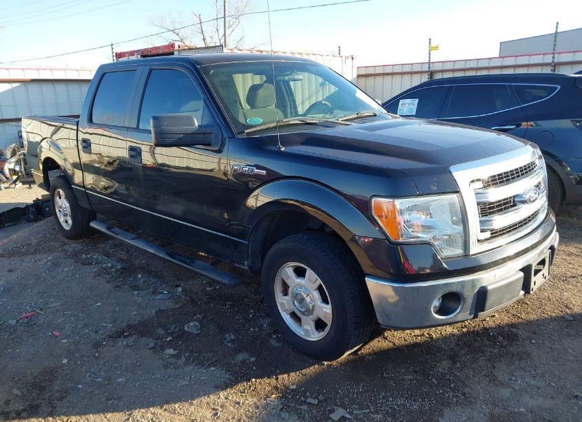 2013 Ford F-150 XLT (VIN 1FTEW1CM2DFA46134) main photo