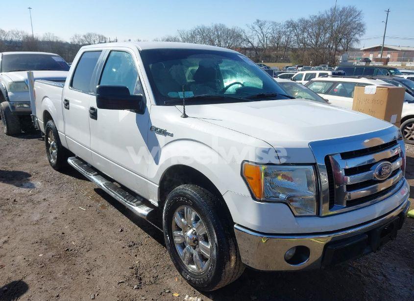 2011 Ford F-150 XLT (VIN 1FTEW1CM3BFA66244) main photo
