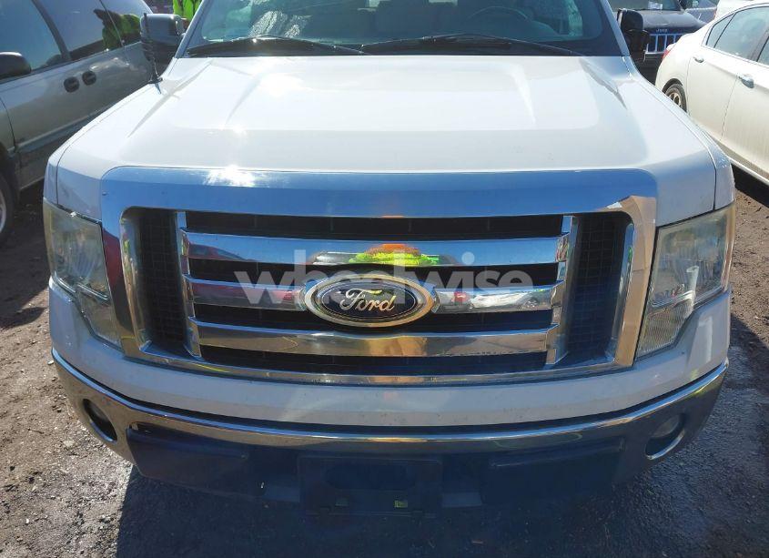 Photo 12 of 2011 Ford F-150 XLT (VIN 1FTEW1CM3BFA66244)