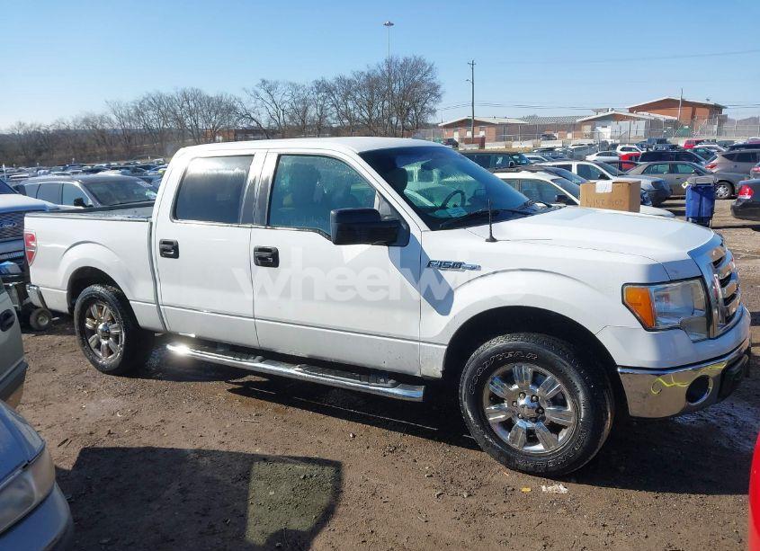 Photo 13 of 2011 Ford F-150 XLT (VIN 1FTEW1CM3BFA66244)