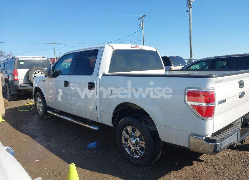 Photo 14 of 2011 Ford F-150 XLT (VIN 1FTEW1CM3BFA66244)