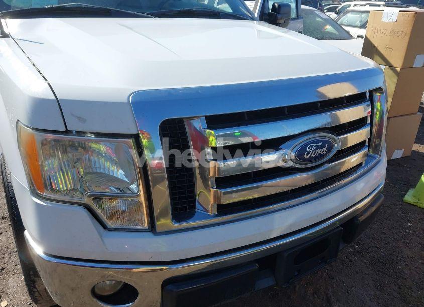 Photo 6 of 2011 Ford F-150 XLT (VIN 1FTEW1CM3BFA66244)