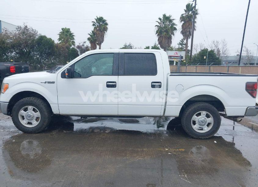 Photo 14 of 2011 Ford F-150 XLT (VIN 1FTEW1CM3BKE00277)