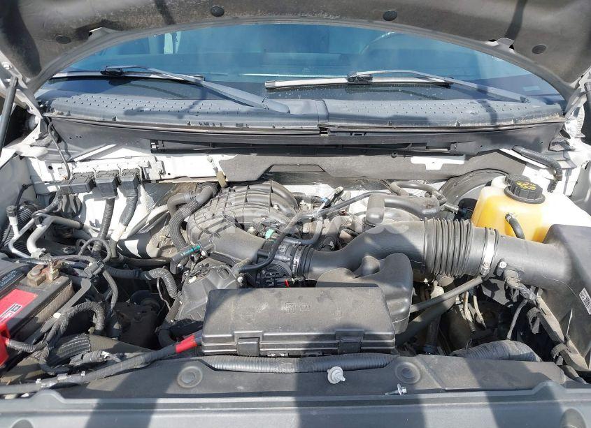 Photo 10 of 2013 Ford F-150 XLT (VIN 1FTEW1CM4DFC76175)