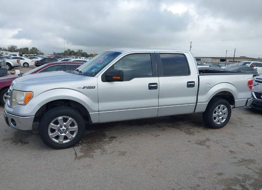 Photo 14 of 2013 Ford F-150 XLT (VIN 1FTEW1CM4DFD40344)