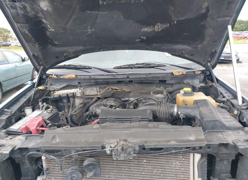 Photo 10 of 2014 Ford F-150 XLT (VIN 1FTEW1CM4EFA48730)