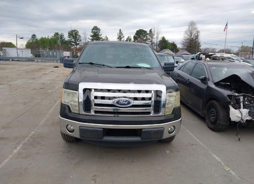 Photo 12 of 2011 Ford F-150 XLT (VIN 1FTEW1CM5BFB03715)