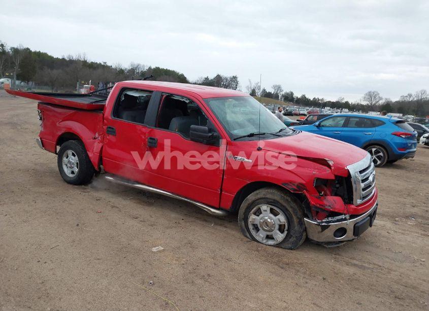 2011 Ford F-150 XLT (VIN 1FTEW1CM5BKD49641) main photo