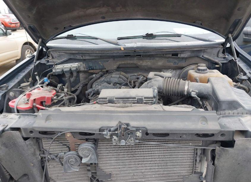 Photo 10 of 2011 Ford F-150 XL (VIN 1FTEW1CM6BFA50099)