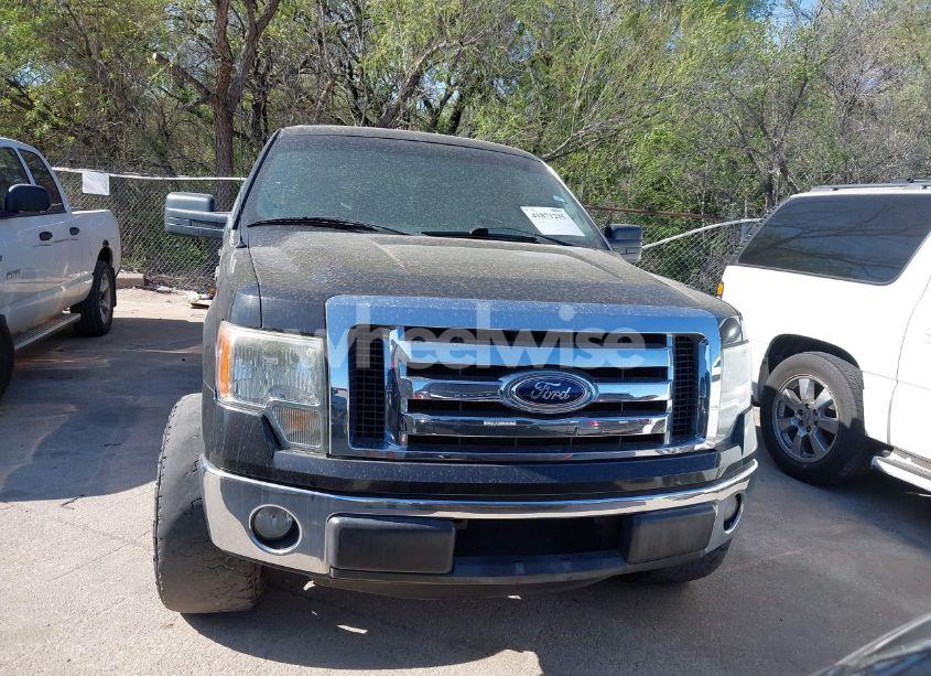 Photo 12 of 2012 Ford F-150 XLT (VIN 1FTEW1CM6CKD93956)
