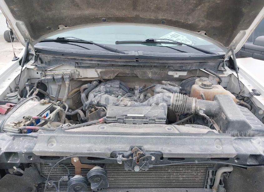 Photo 10 of 2013 Ford F-150 XL (VIN 1FTEW1CM7DFC58690)