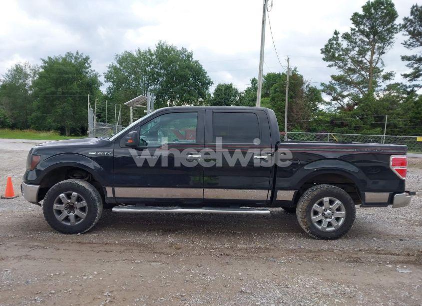 Photo 14 of 2013 Ford F-150 XLT (VIN 1FTEW1CM7DKF55286)