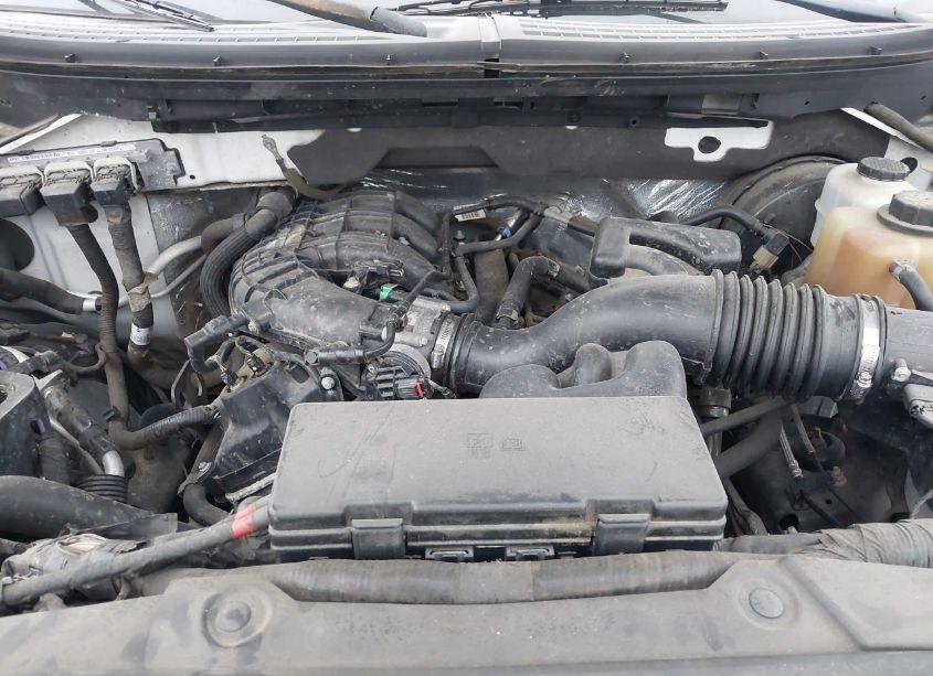 Photo 10 of 2011 Ford F-150 XLT (VIN 1FTEW1CM8BFB85925)