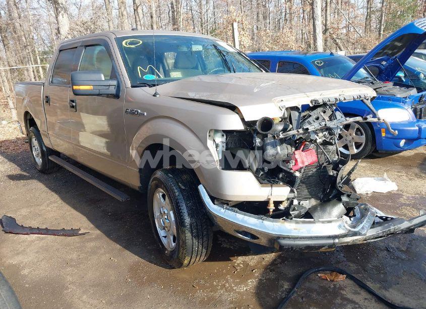 2011 Ford F-150 XLT (VIN 1FTEW1CM8BFD33703) main photo