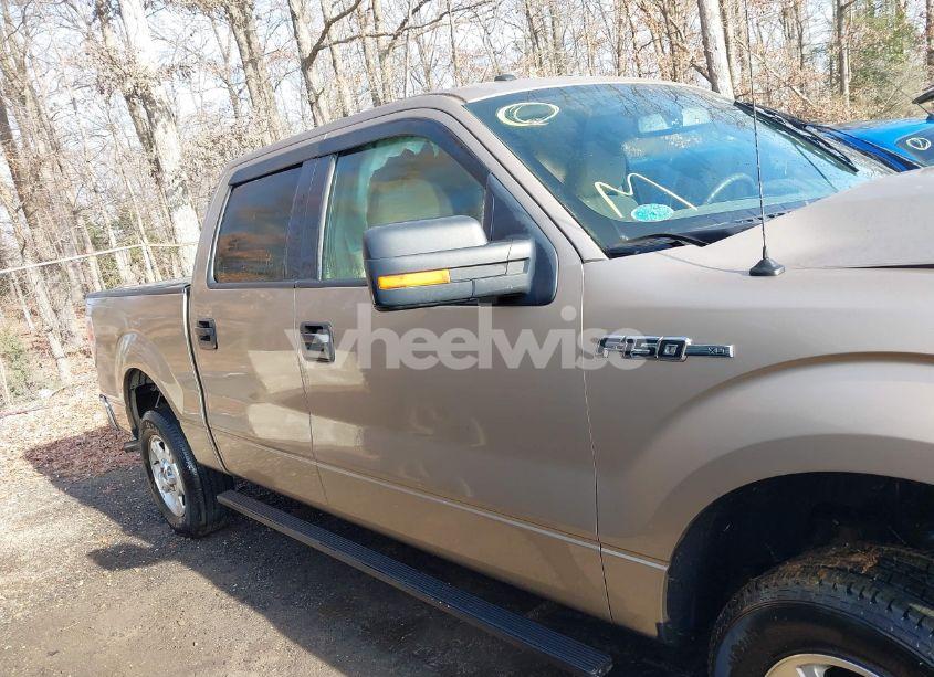 Photo 12 of 2011 Ford F-150 XLT (VIN 1FTEW1CM8BFD33703)