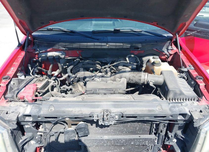 Photo 10 of 2013 Ford F-150 XL (VIN 1FTEW1CM8DKD89005)