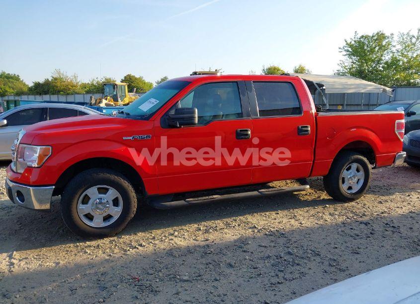 Photo 14 of 2013 Ford F-150 XLT (VIN 1FTEW1CMXDKE99134)