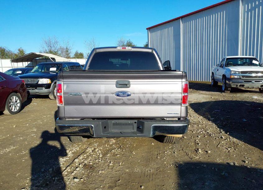 Photo 16 of 2014 Ford F-150 XLT (VIN 1FTEW1CMXEKG10542)