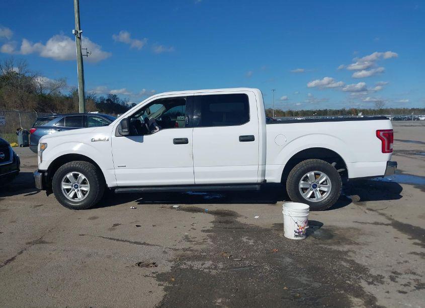 Photo 14 of 2015 Ford F-150 XLT (VIN 1FTEW1CP0FKE80704)