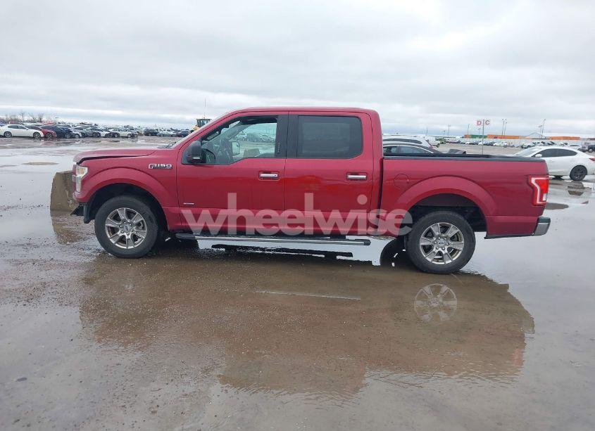 Photo 14 of 2016 Ford F-150 XLT (VIN 1FTEW1CP0GKF94798)