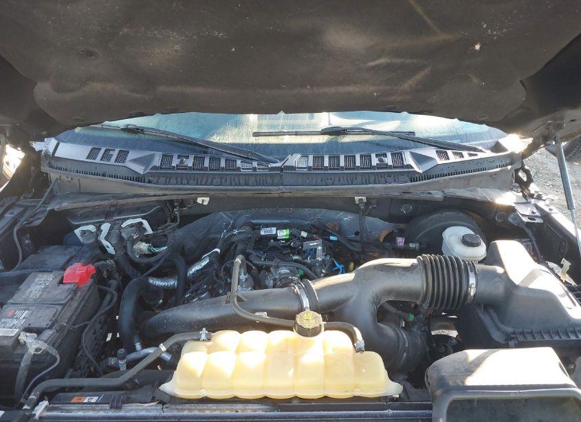 Photo 10 of 2019 Ford F-150 XLT (VIN 1FTEW1CP0KFD42468)