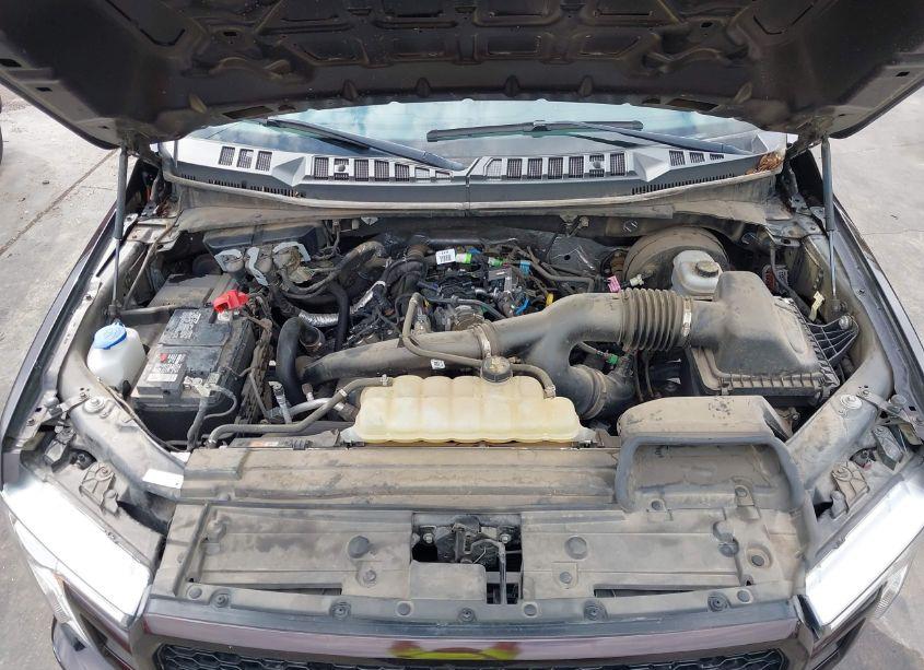 Photo 10 of 2019 Ford F-150 XL (VIN 1FTEW1CP0KKE33053)