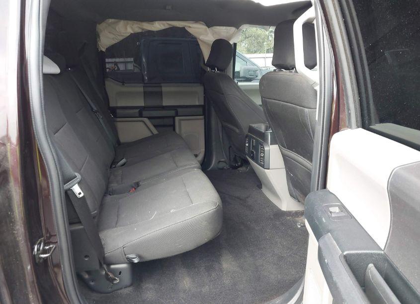 Photo 8 of 2019 Ford F-150 XL (VIN 1FTEW1CP0KKE33053)