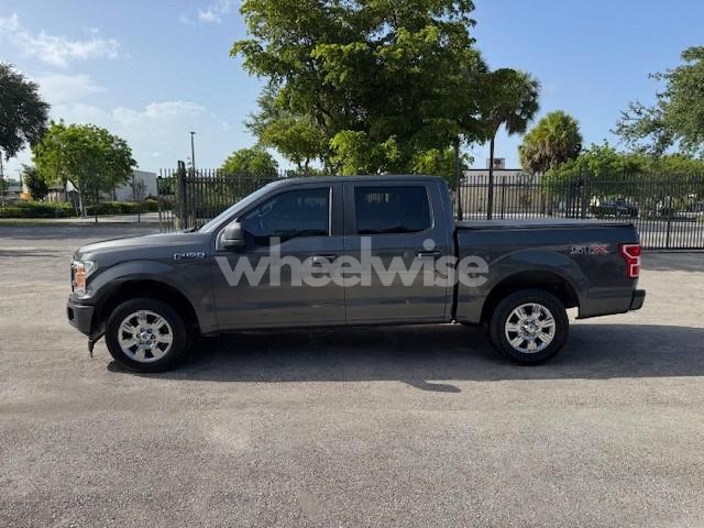 Photo 13 of 2019 FORD F150 SUPERCREW (VIN 1FTEW1CP1KKF22890)