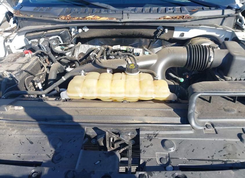 Photo 10 of 2020 Ford F-150 XLT (VIN 1FTEW1CP1LKE54804)