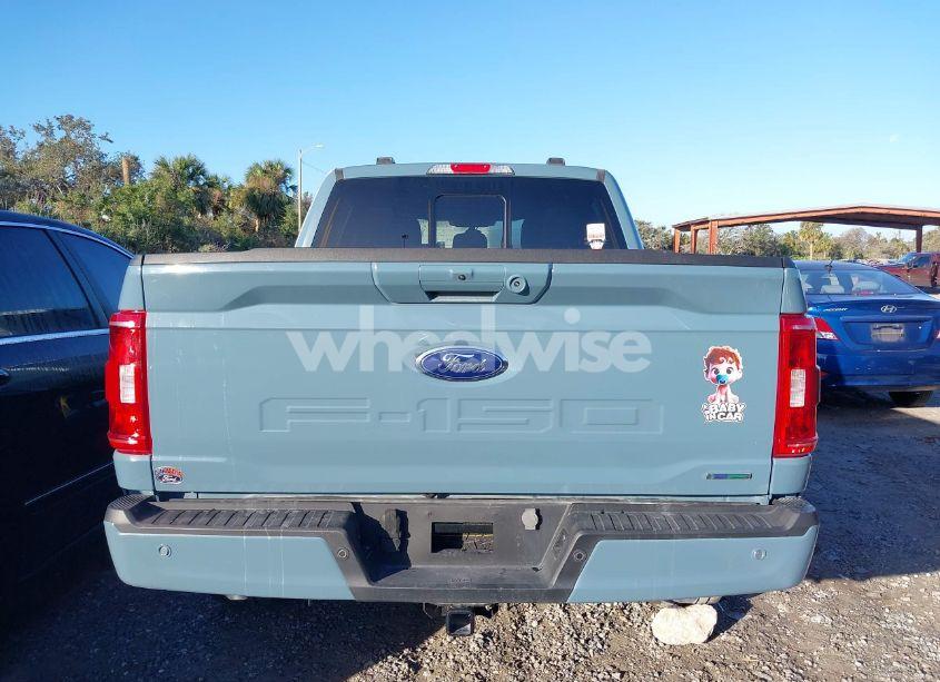 Photo 16 of 2023 Ford F-150 XLT (VIN 1FTEW1CP1PKD52005)