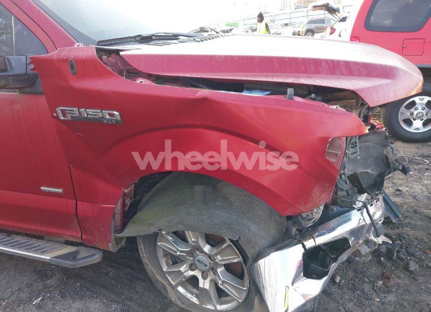 Photo 18 of 2015 Ford F-150 XLT (VIN 1FTEW1CP2FKE47719)