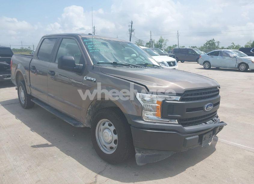 2019 Ford F-150 XL (VIN 1FTEW1CP2KKE83484) main photo