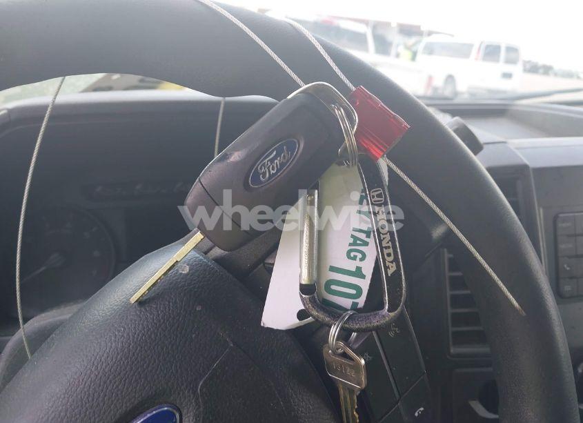 Photo 11 of 2019 Ford F-150 XL (VIN 1FTEW1CP2KKE83484)