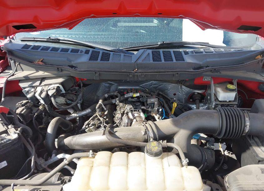 Photo 10 of 2021 Ford F-150 XL (VIN 1FTEW1CP2MKD46550)