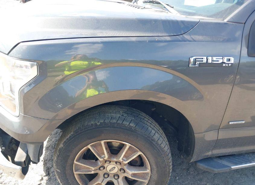 Photo 18 of 2015 Ford F-150 XLT (VIN 1FTEW1CP3FFB66392)