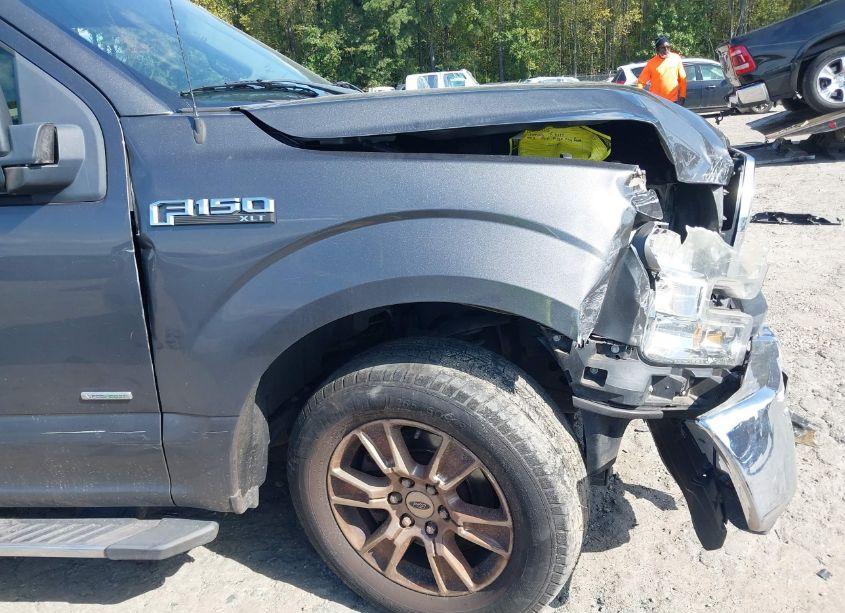 Photo 19 of 2015 Ford F-150 XLT (VIN 1FTEW1CP3FFB66392)